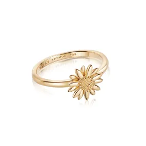 Daisy London English Daisy Ring, Gold